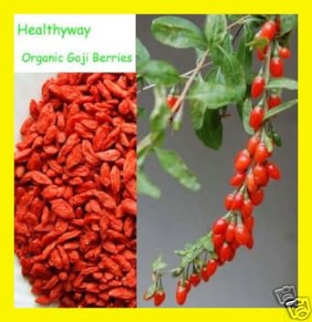  NutritionSource Healthyway Organic Goji Berries Raw Superfo