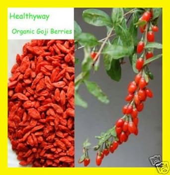  NutritionSource Healthyway Organic Goji Berries Raw Superfo