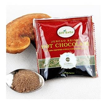 Healthy and Delicious Hot Chocolate with Certified Organic Ganoderma Reishi Mushroom Extract 15 Sachets per Box