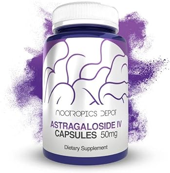 Nootropics Depot Astragaloside IV Capsules | 50mg | Astragalus membran