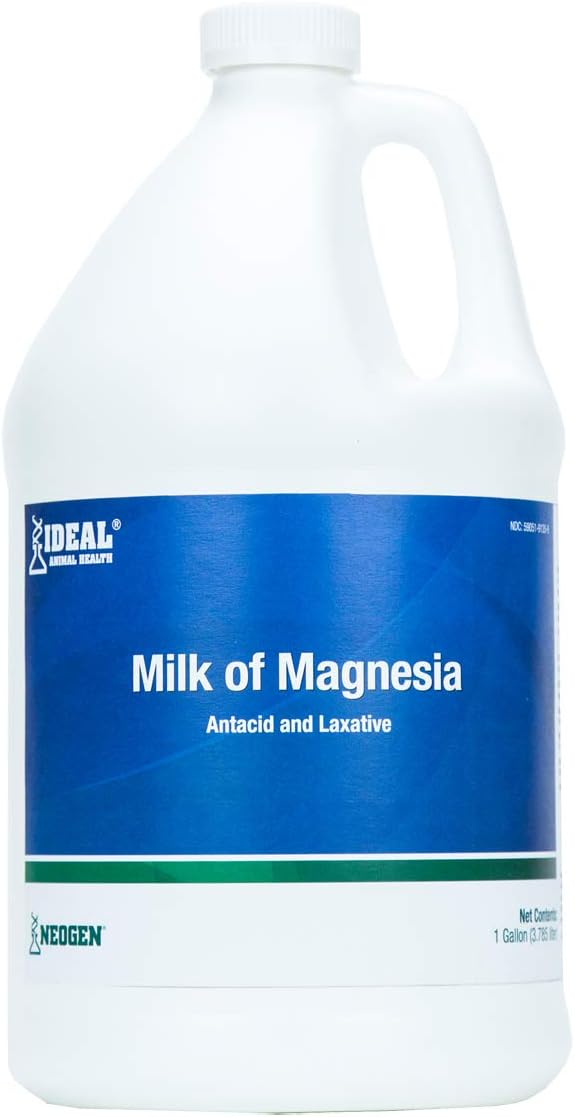  Milk Of Magnesia, 1 Gal for Veterinary Use : Health & House