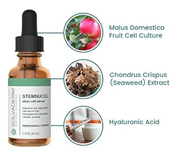 Solvaderm Stemnucell Stem Cell Dermal Regeneration Serum Reduces The Severity Of Fine Lines And Wrinkles And Slows The Skin Aging Process