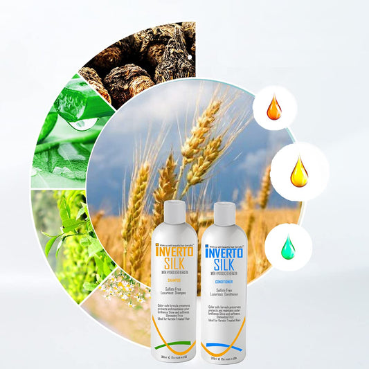 INVERTO SILK Luxurious Keratin Shampoo and Conditioner Set For Frizzy Damaged Hair Sulfate Free Shampoo and Conditioner Two Bottles Value Set 2 x 360ml Protect Hair Color Eliminate Frizz post treatment shampoo