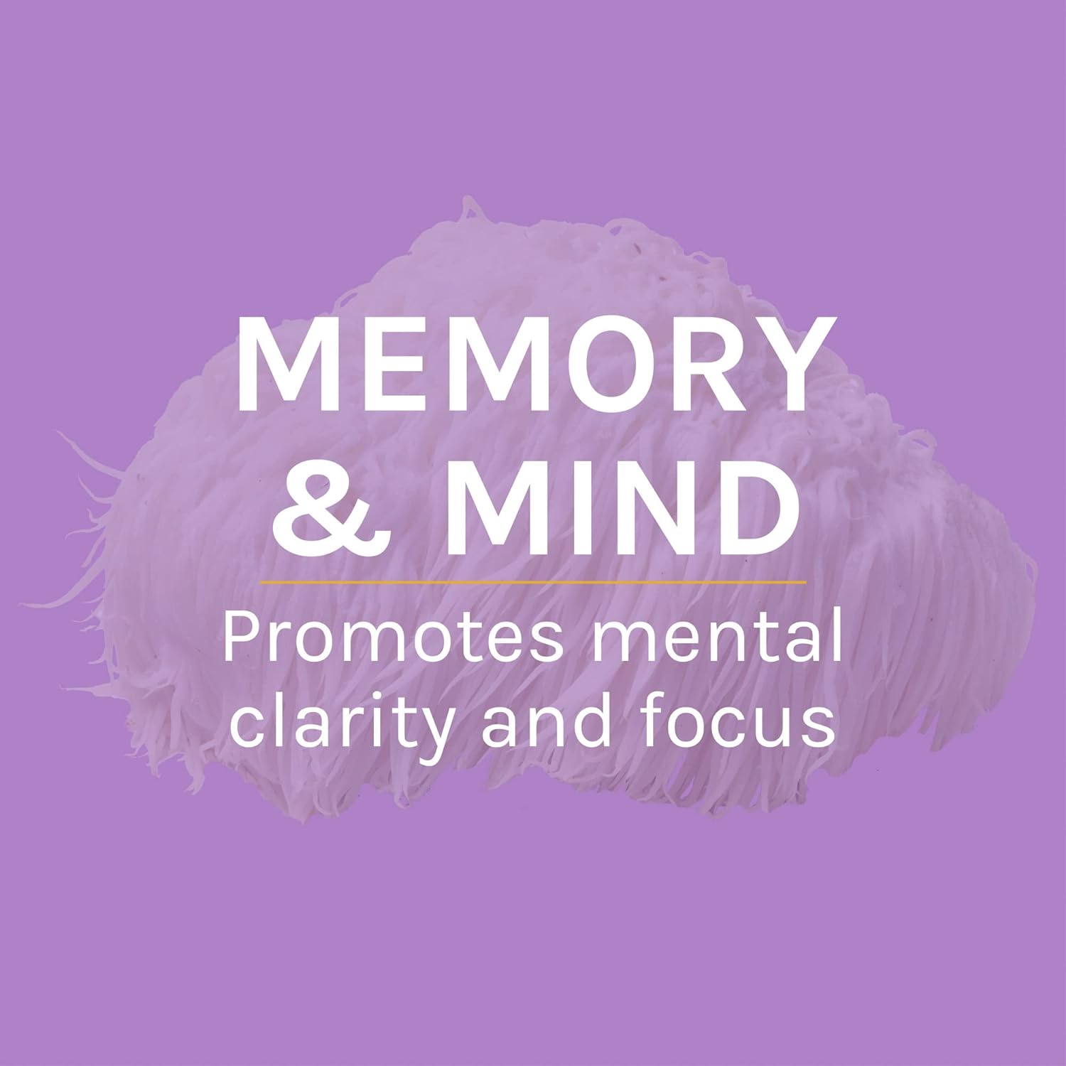 Host Defense, Lion's Mane Powder, Supports Mental Clarity, Focus and M