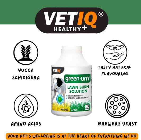 VetIQ Green-Um Dog Urine Neutraliser, 100 Tablets, Urine Neutraliser Lawn Burn Solution, Puppy Essentials Controls Nitro