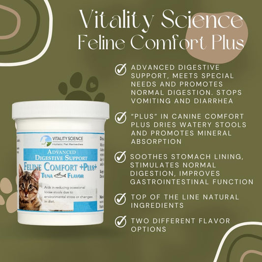 Vitality Science - Feline Comfort Plus, Extra Drying Digestive Aid, GI Support Helps with Vomiting and Diarrhea, 100% Ad