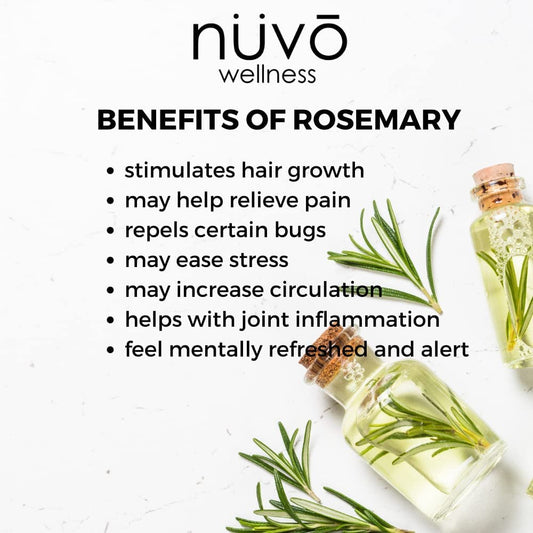 Rosemary Oil for Hair Growth - Blended with Organic Jojoba Oil - Use for Hair Skin Nails - Product of Canada (3 Pack)