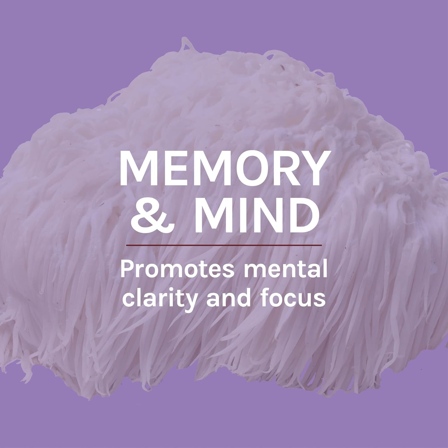 Host Defense, Lion's Mane Capsules, Promotes Mental Clarity, Focus and