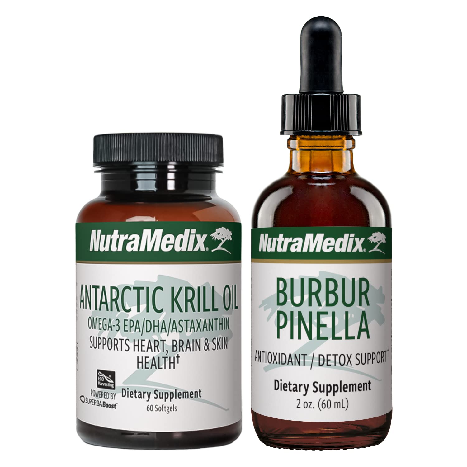 NutraMedix Brain Support Bundle - Includes Artic Krill Oil Softgels an