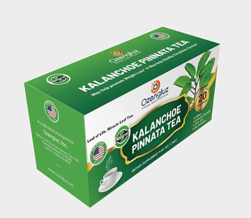 Kalanchoe Pinnata-Leaf of Life (Miracle Leaf) Tea.1 Box (20-Tea bags) Kalanchoe Pinnata-Siempreviva (Bryophyllum Pinnatum). (20)