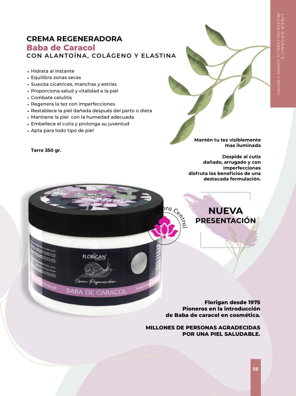 Dynamic Face and Neck Cream ''Baba de Caracol'' Florigan 350