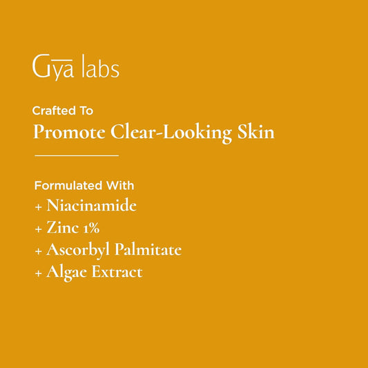 Gya Labs Niacinamide Serum for Skin (1  ) - Formulated with 13% Niacinamide + 1% Zinc - For Smooth, Clear-Looking Skin