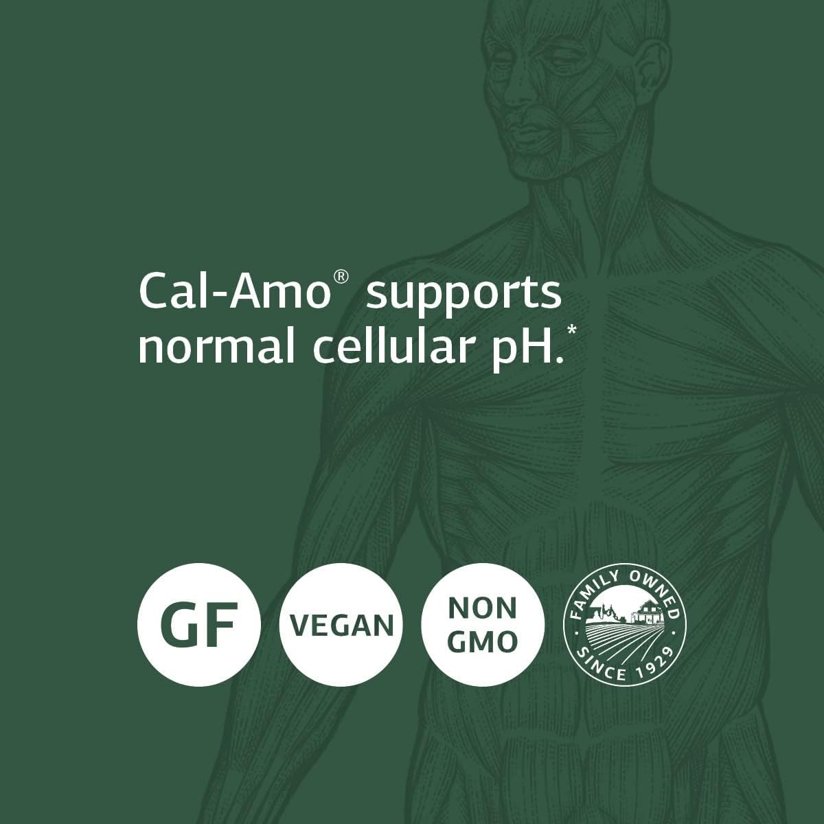 Standard Process Cal-Amo - Cellular pH Support and Lung Support Supple