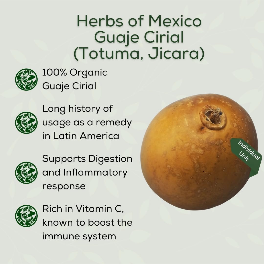  Herbs of Mexico Guaje Cirial (Totuma, Jicara) Whole (Indivi