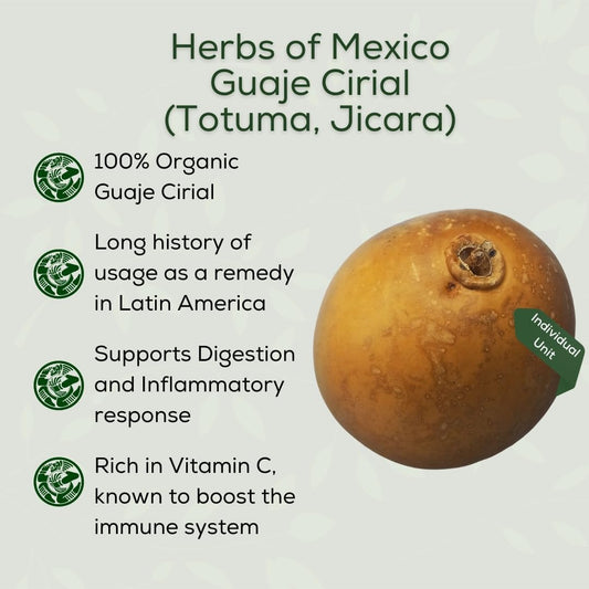 Herbs of Mexico Guaje Cirial (Totuma, Jicara) Whole (Indivi