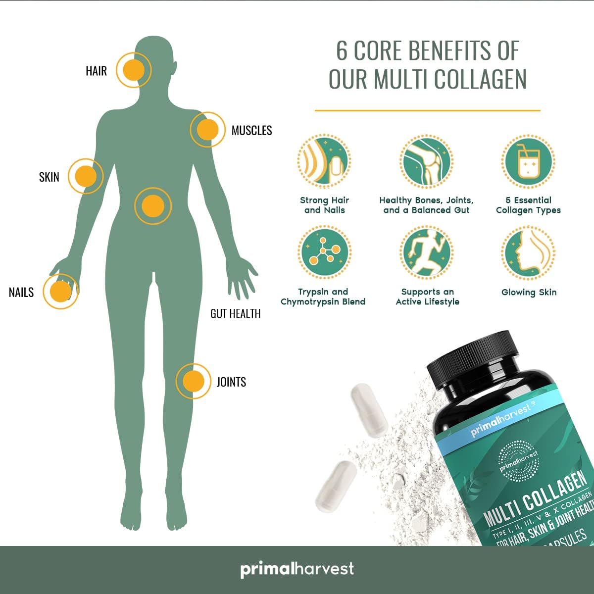 Primal Harvest Multivitamin & Collagen Supplements for Women