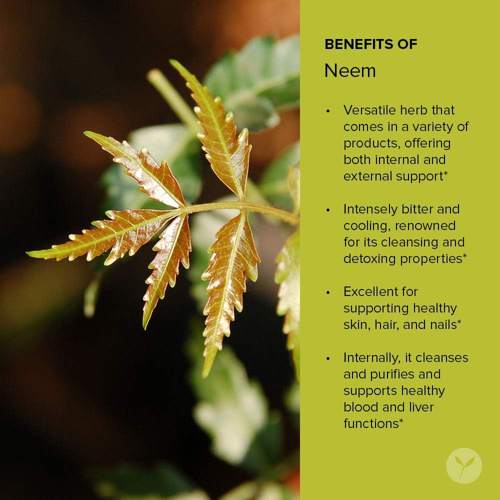 Banyan Botanicals Neem Powder - Organic Azadirachta Indica - Purifying