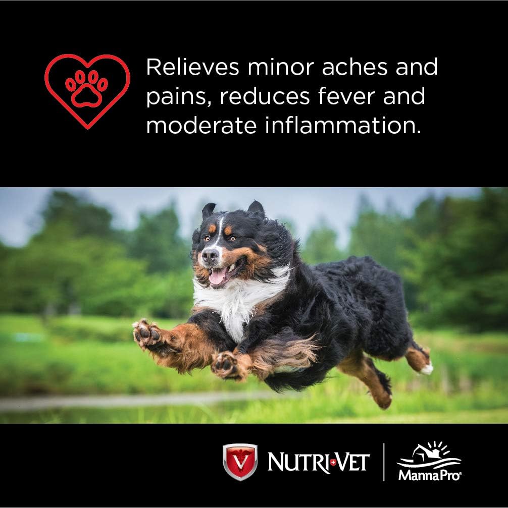 Nutri-Vet Aspirin for Dogs | Medium to Large Dogs | 300mg | 