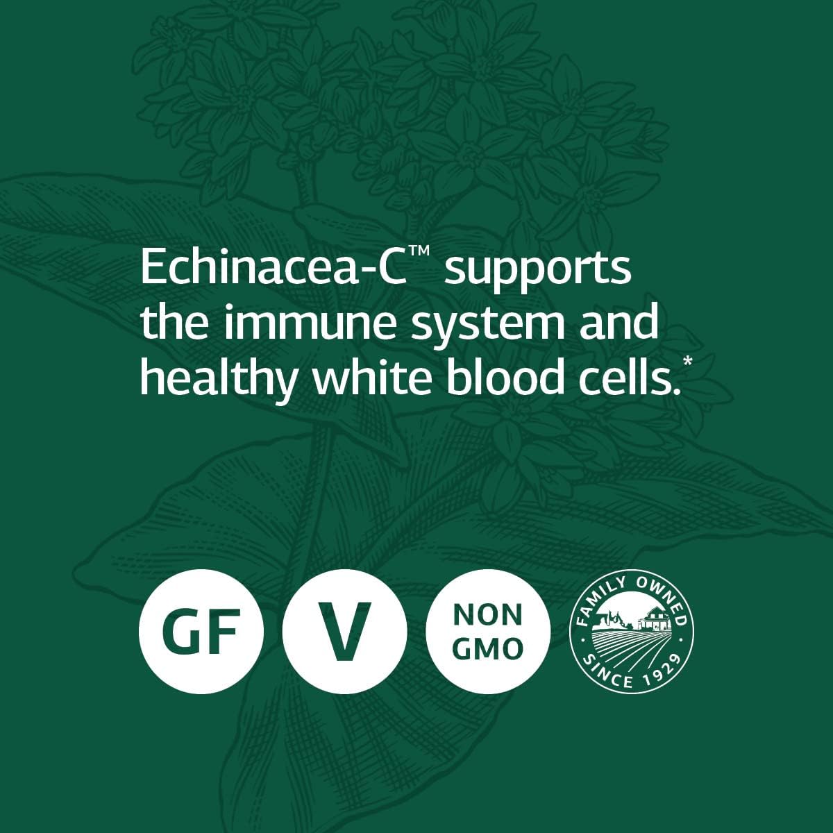 Standard Process Echinacea-C - Whole Food Blood and Immune Support wit