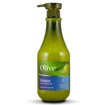 Frulatte Olive Oil Organic Shampoo for Dry Damaged Hair Treatment - Hair Moisturizer Enriched with Argan Oil, Witch Hazel, and Vitamin E for Frizz Control and Hair Repair - Hair Growth Shampoo for Men & Women | 27