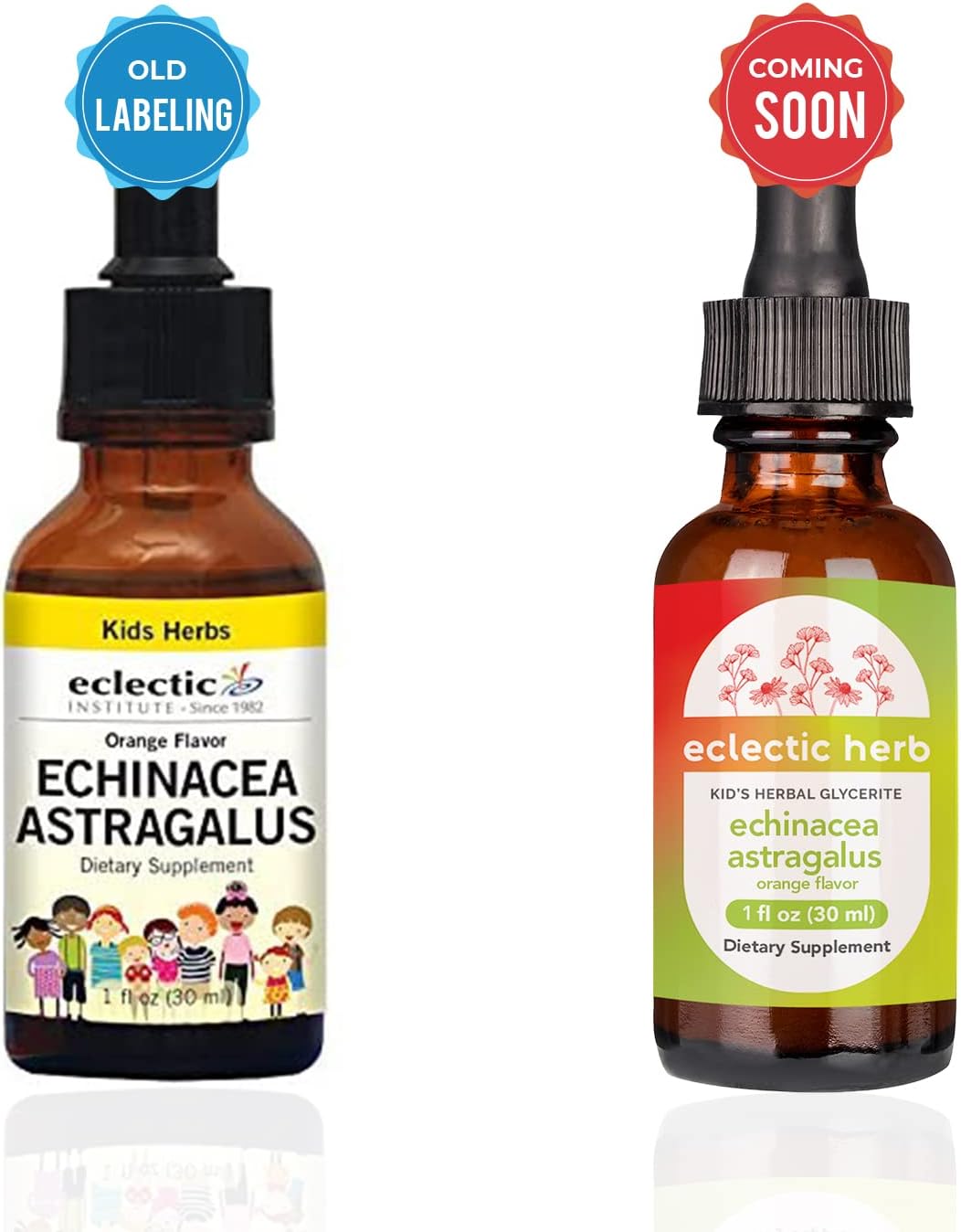 ECLECTIC INSTITUTE Kid's Echinacea - Astragalus (Orange Flav