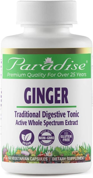 Paradise Herbs Ginger Extract for Digestive Health, Vegan, N