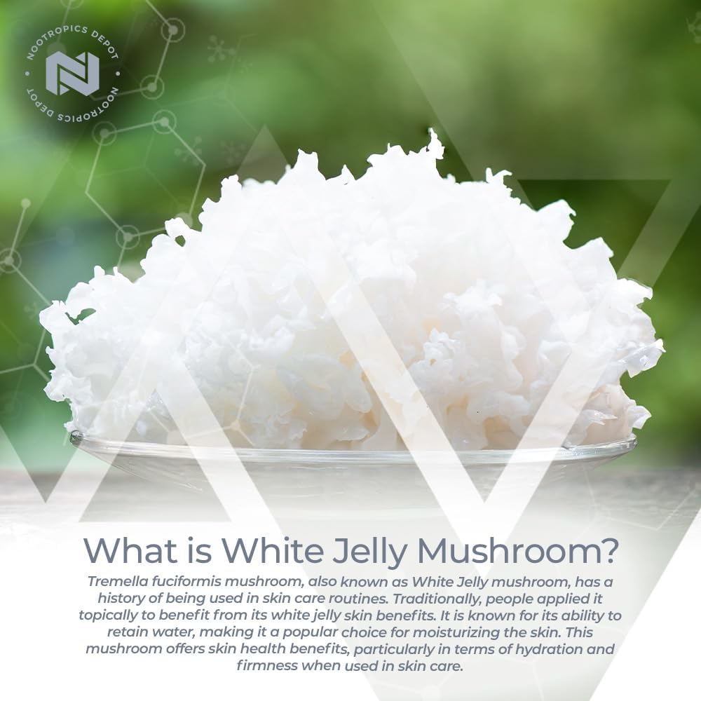 Nootropics Depot White Jelly Mushroom Capsules | 500mg | 60 Count | Tr