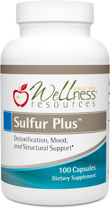 Wellness Resources Sulfur Plus for Hair, Skin, Nails with Biotin 6000