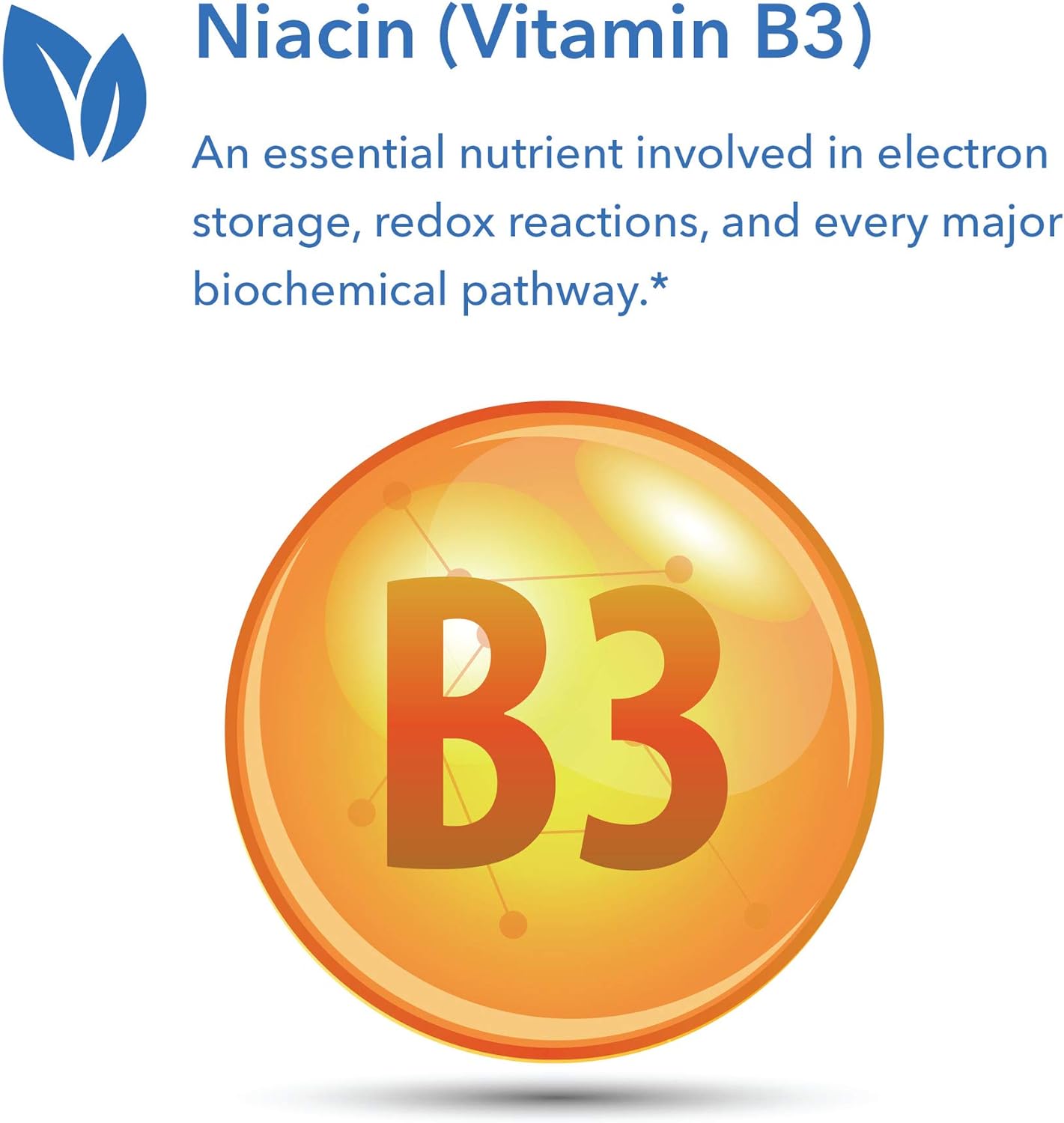 Allergy Researcg Group - Niacin Vitamin B3 250 Milligrams 90 Veg Capsu