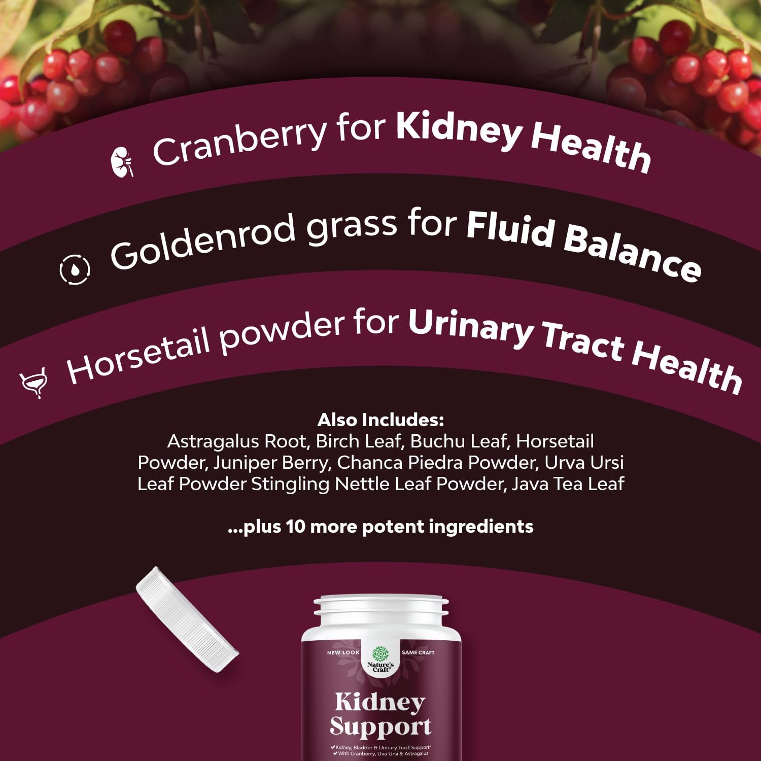 Kidney Support Cranberry Supplement for Women and Men - High Strength 