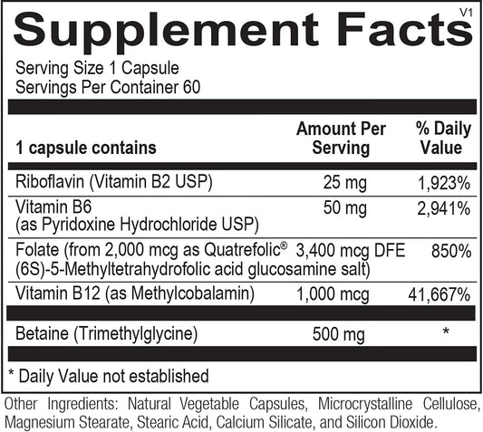 Methyl CpG 60ct