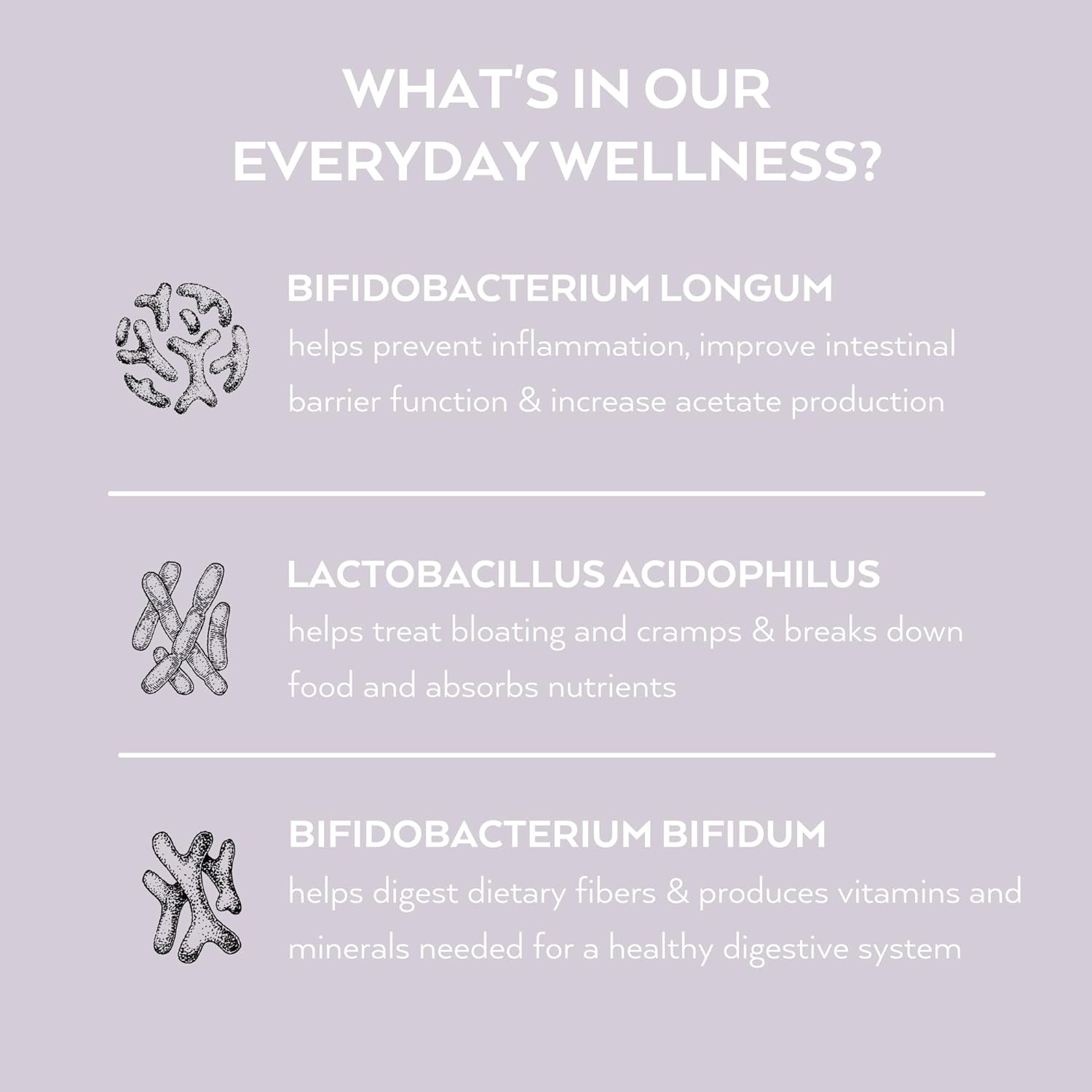 Simone Thomas Wellness, Everyday Wellness, High Strength Pro Biotic Su