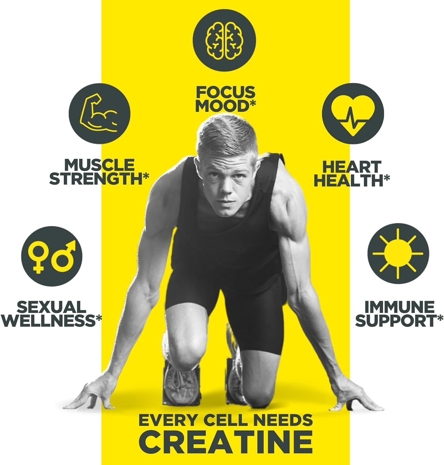 CON-CRET Creatine HCl Powder | Supports Muscle, Cognitive, and Immune 