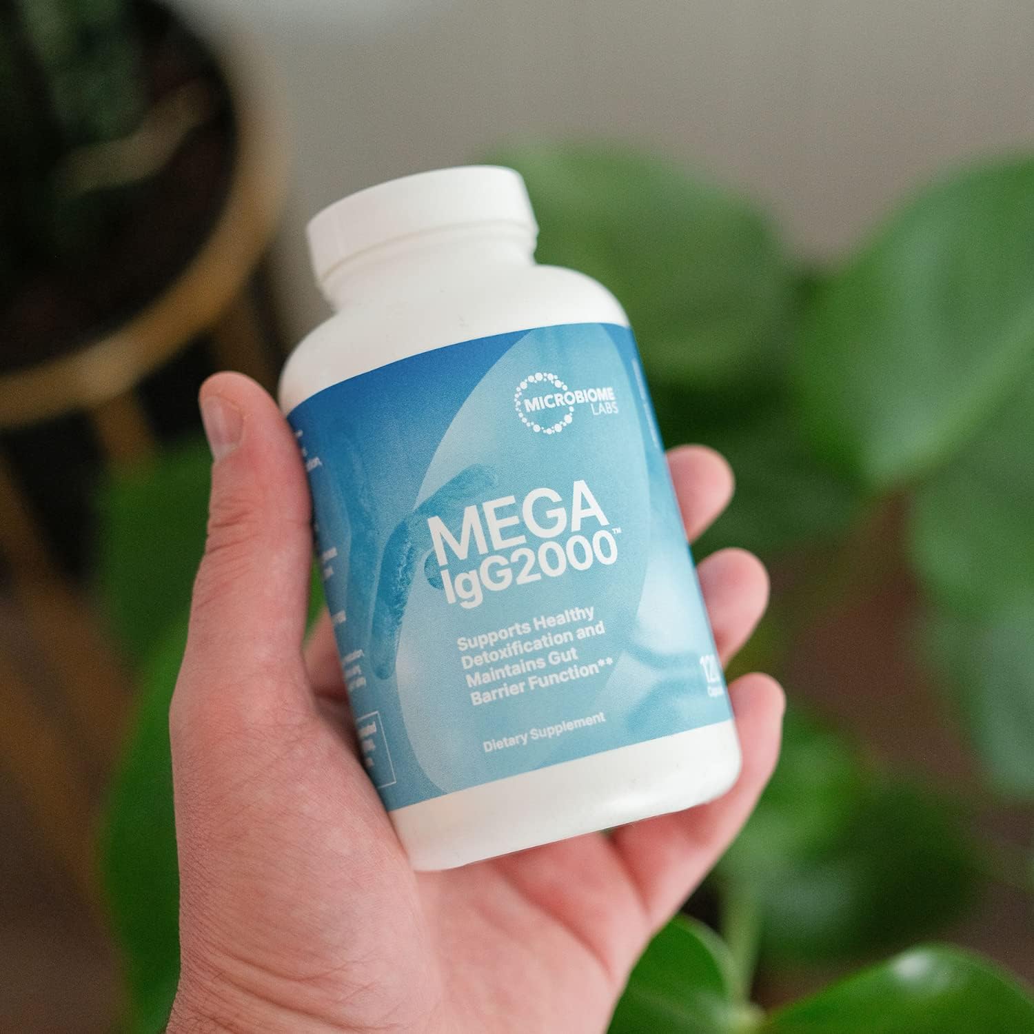 Microbiome Labs MegaSporeBiotic Spore-Based Probiotics (180 Capsules) 