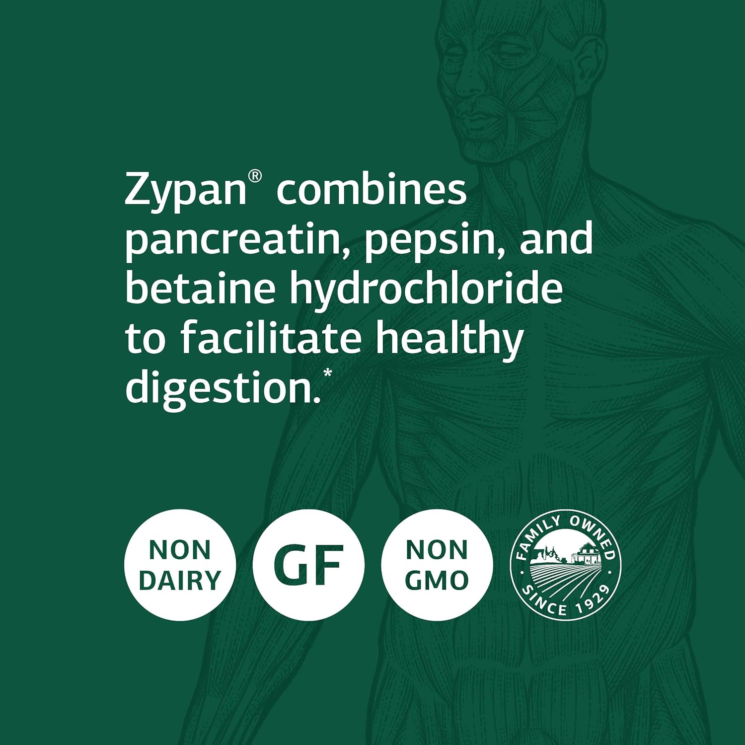 Standard Process Zypan - Digestive Health Support Supplement - HCI Sup