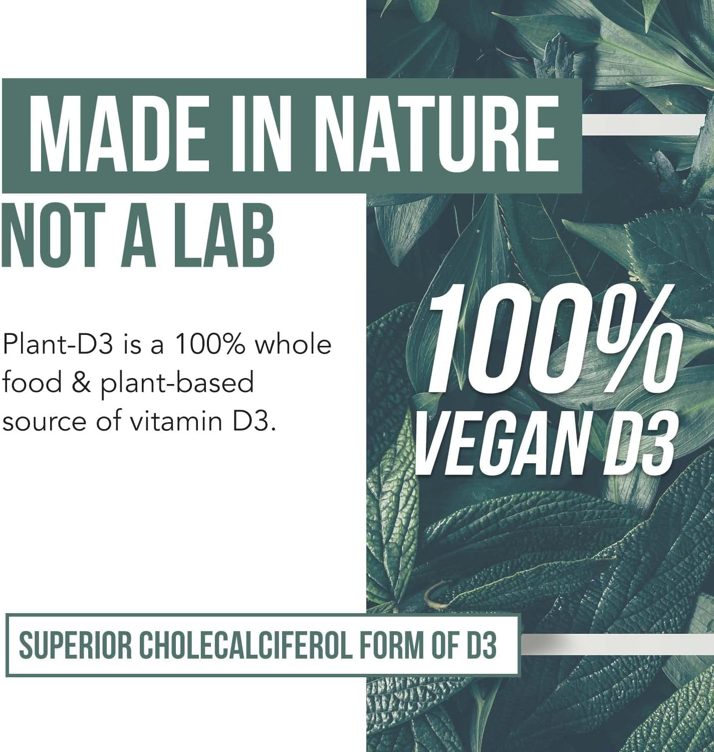 Organic Vitamin D3 5,000 IU - 100% Whole Food & Plant-Based Cholecalci