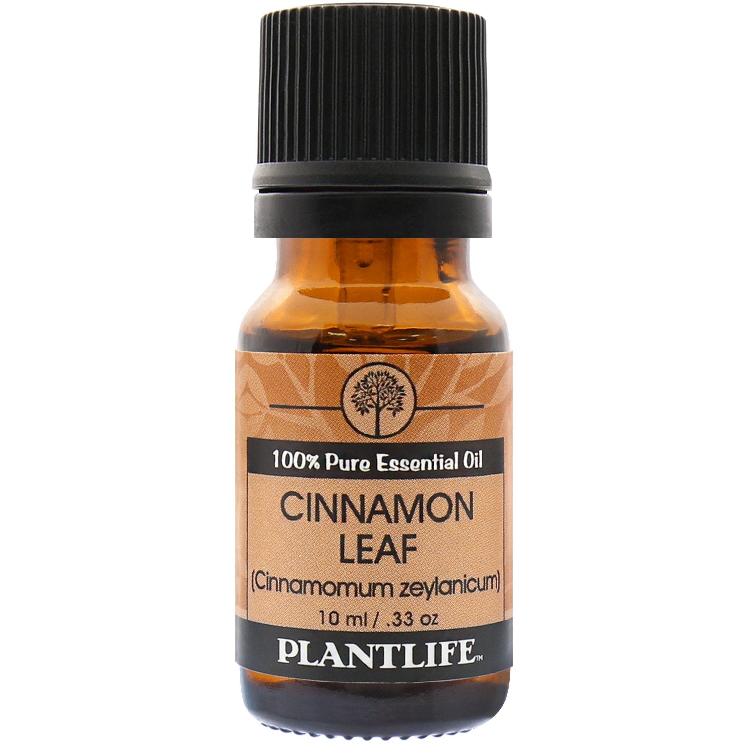 Cinnamon Leaf 100% Pure Essential Oil - 10 ml by Plantlife