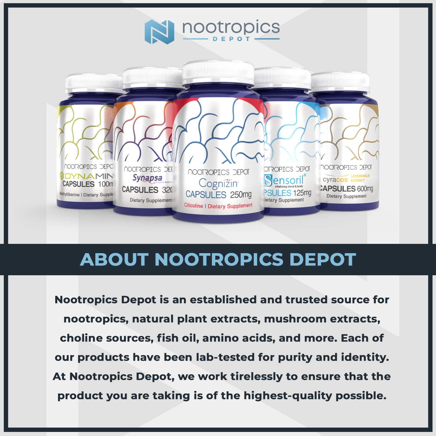 Nootropics Depot Red Reishi Mushroom Capsules | 8:1 Whole Fruiting Bod