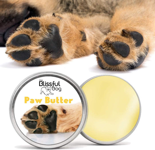 The Blissful Dog Paw Butter for Your Dog's Rough and Dry Paws, 1-Ounce