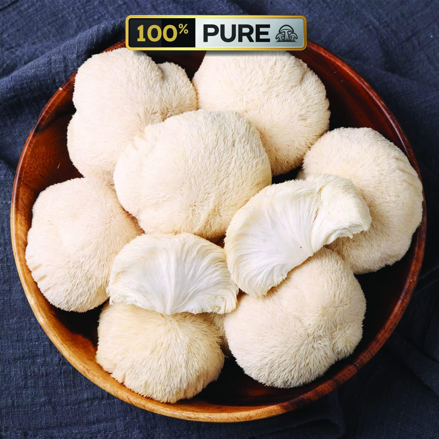Pacific Rim Mushrooms Lions Mane Supplement Powder | High Potency 10:1