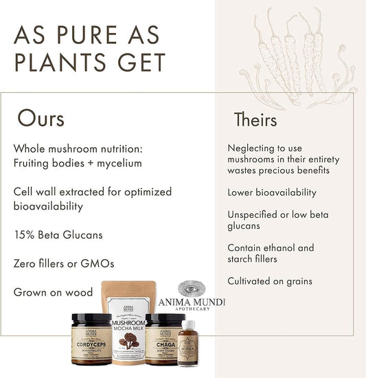 Anima Mundi Reishi Fountain of Youth Mushroom Powder - Organic Reishi
