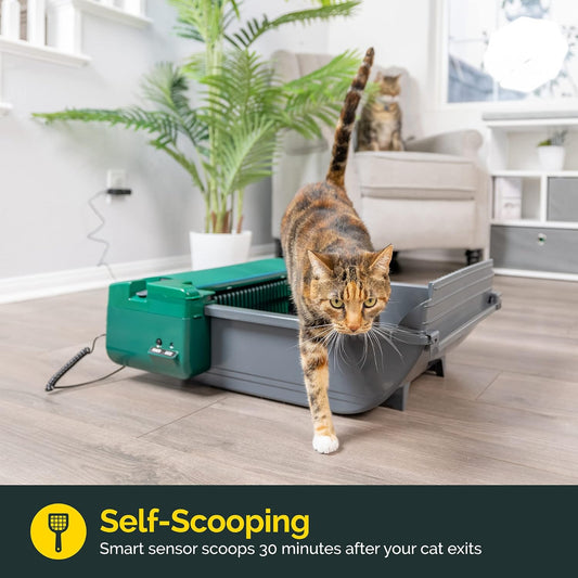 Pet Zone Smart Scoop Automatic Cat Litter Box, Semi Self Cleaning Cat Litter Box For Up To Two Cats 6-15 Pounds
