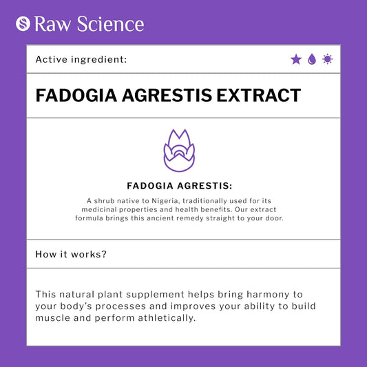 Ultra Fadogia Agrestis Extract: Promotes Muscle Growth & Stamina Supplements for Men. Motivation, Performance, and Lean