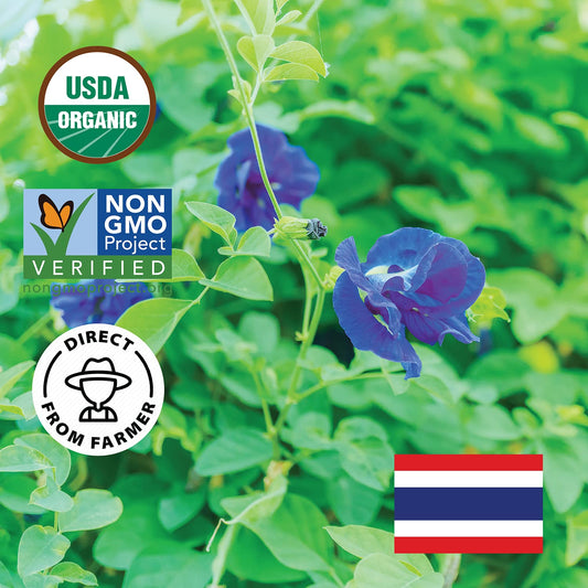 INCAS 100% USDA Organic Butterfly Pea Flower  (375+ Cups) DIRECT FROM SOURCE Thailand Non GMO Verified Dried Butterfly Pea Flowers Caffeine Free Gluten Free Vegan Rich in Antioxidants Free eBook