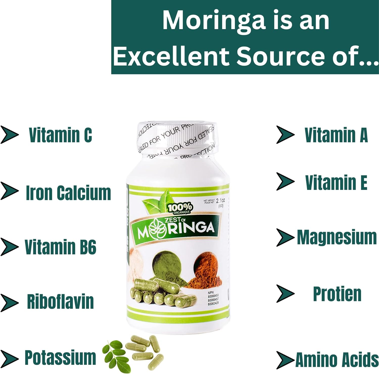 Moringa Oleifera Capsule Supplement | 100 Capsules - 500MG Made with M