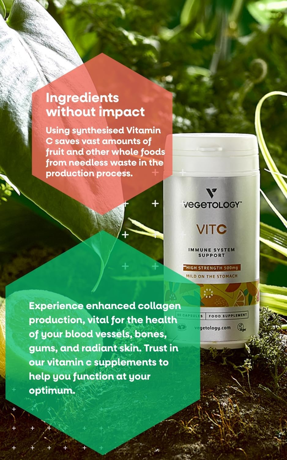 VEGETOLOGY Vegan Vitamin C Supplements — VIT C + Citrus Bioflavonoids 