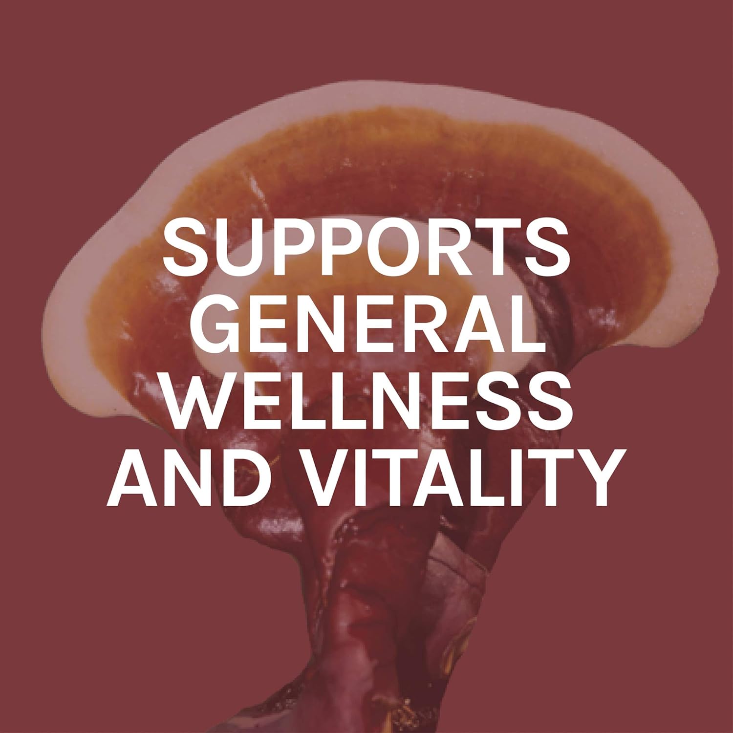 Host Defense, Reishi Extract, Supports General Wellness and Vitality, 