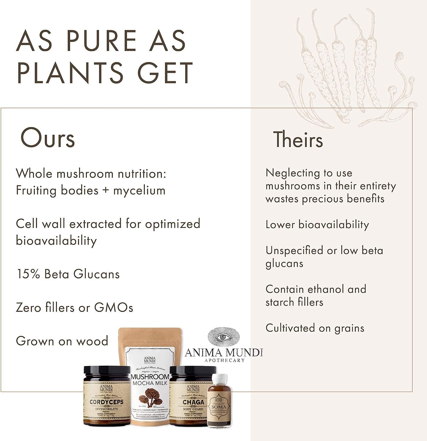 Anima Mundi Chaga Mushroom Powder - Organic Chaga Mushroom Powder - Im