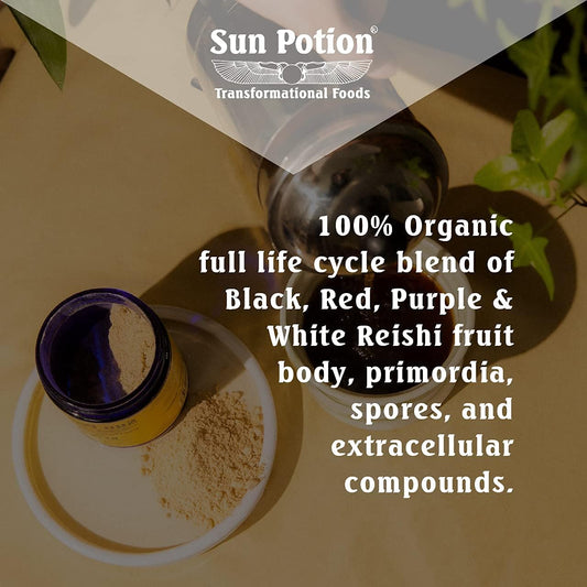 Sun Potion Reishi Mushroom Powder (Organic) - (100g)