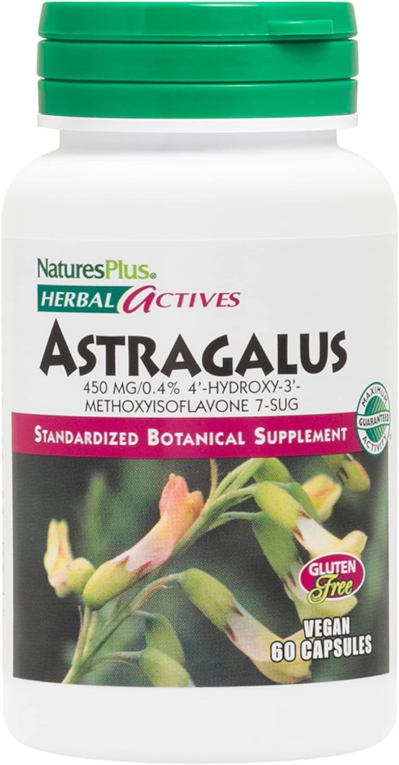 NaturesPlus Herbal Actives Astragalus - 450 mg, 60 Vegan Capsules - 60